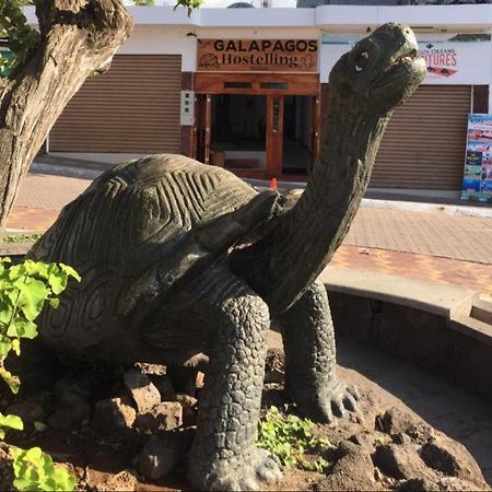 New Galapagos Hostelling Puerto Ayora  Exterior photo