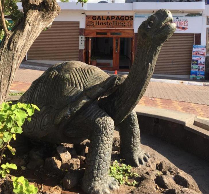 New Galapagos Hostelling Puerto Ayora  Exterior photo