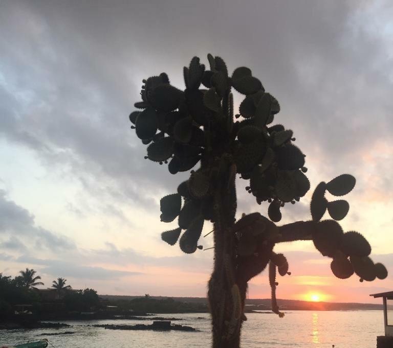 New Galapagos Hostelling Puerto Ayora  Exterior photo